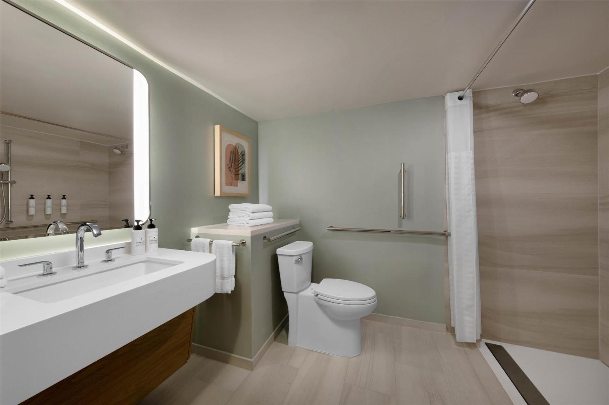 Deluxe King Room Roll Shower Mobility Accessible