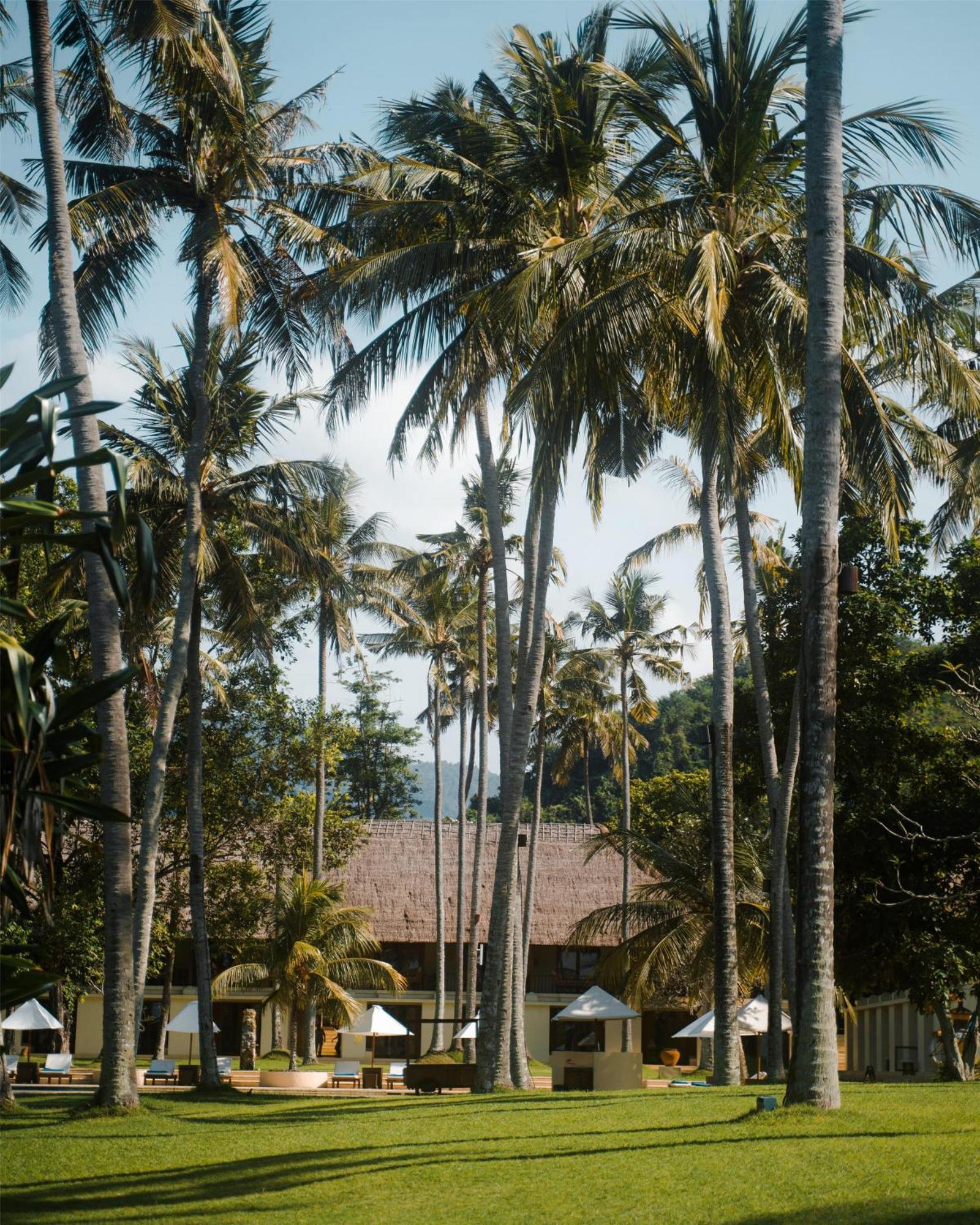 King Room Daily Afternoon Tea Complimentary schedule shuttle service to Candidasa Tenganan Village Bicycles personal around the resort,1670703735:JPEG