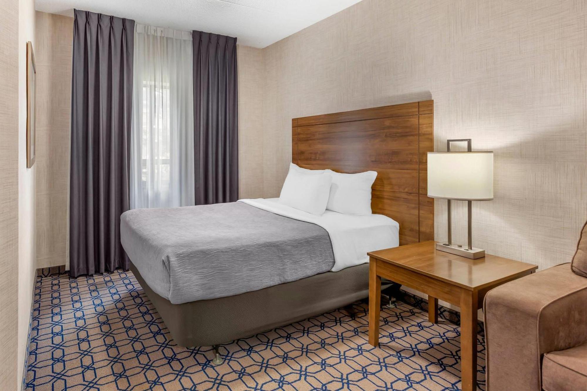 King Suite Extra Bed
