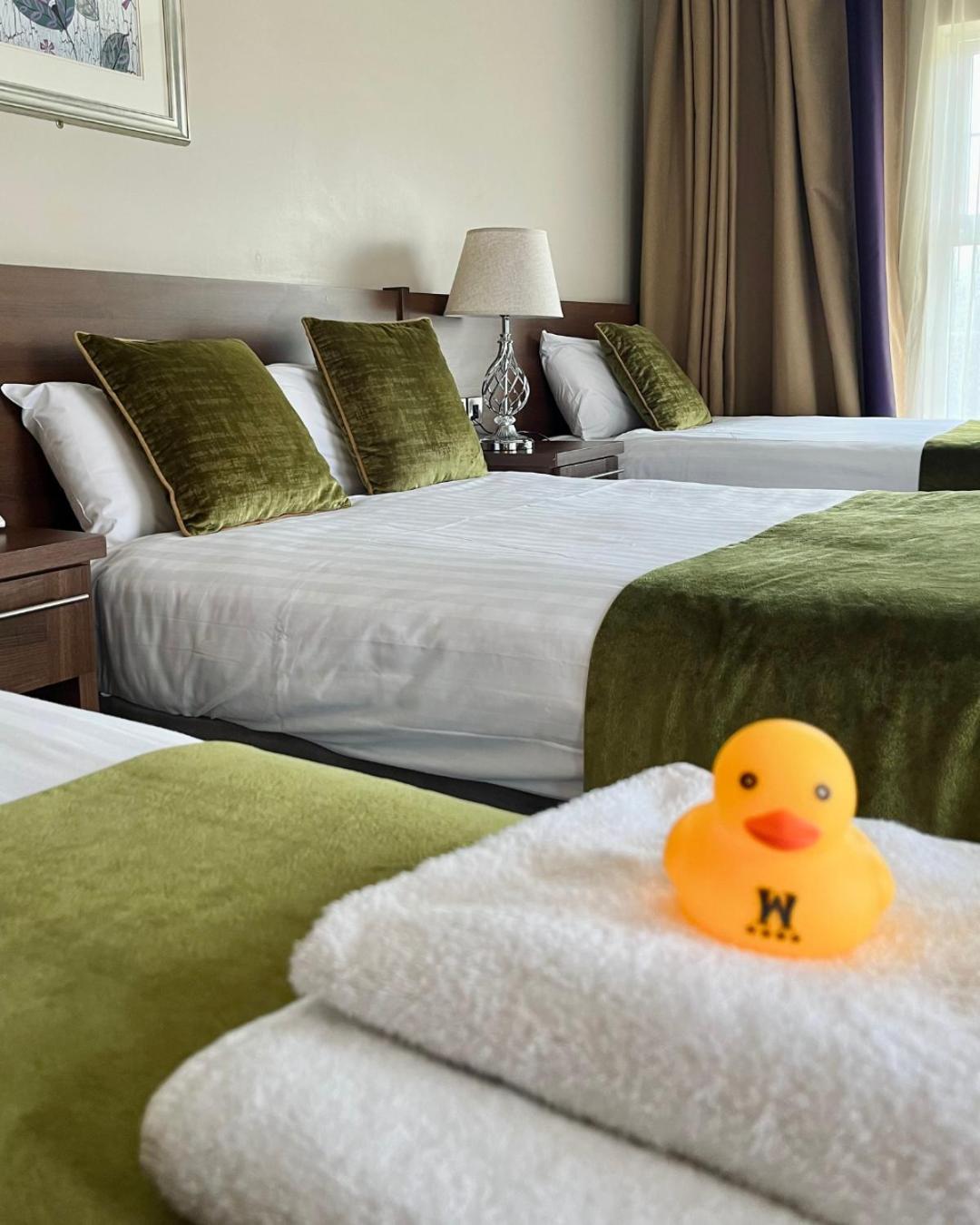 Double Room,1765829413:JPEG