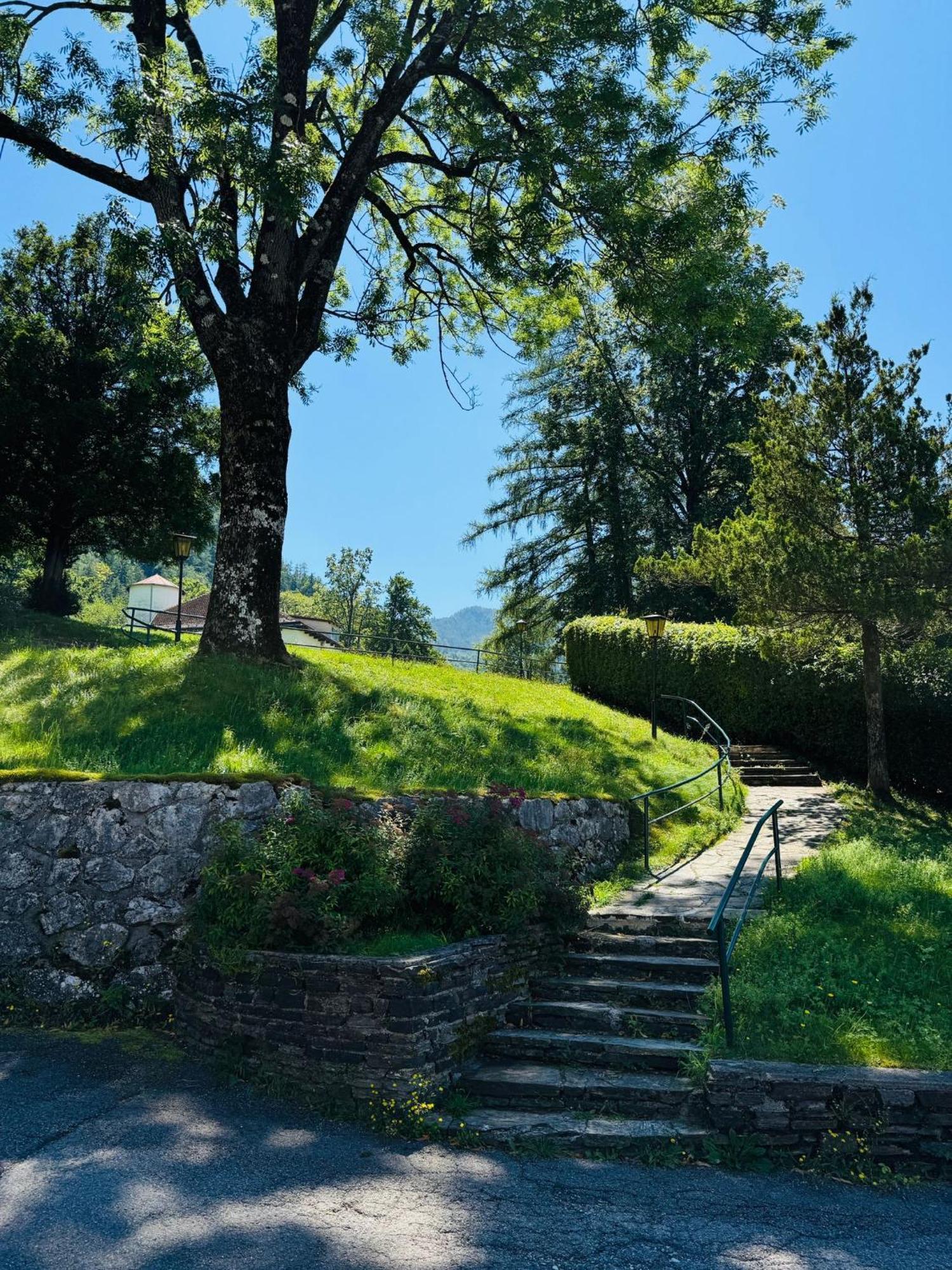 Suite - Villa