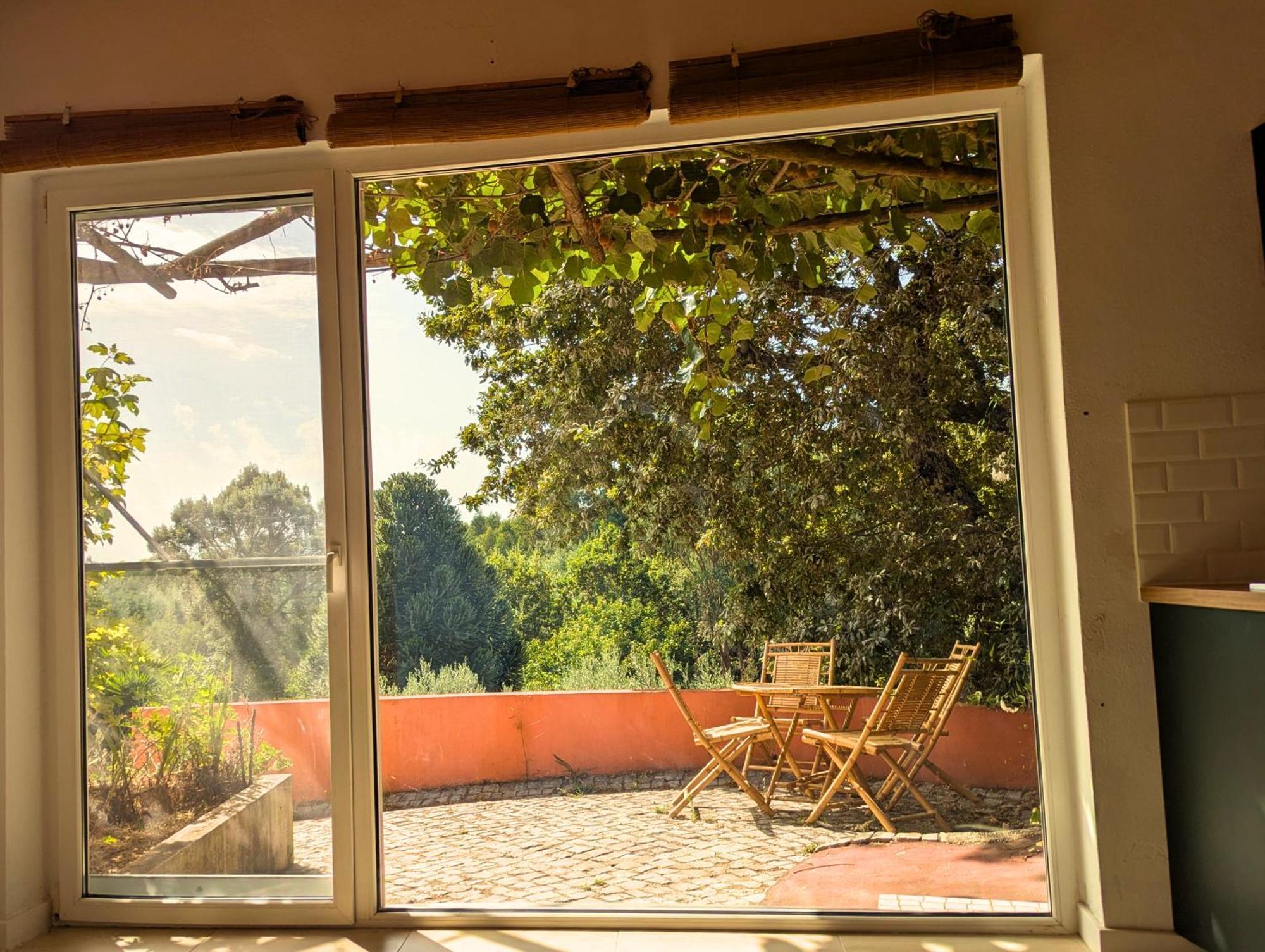 Apartment Terrace