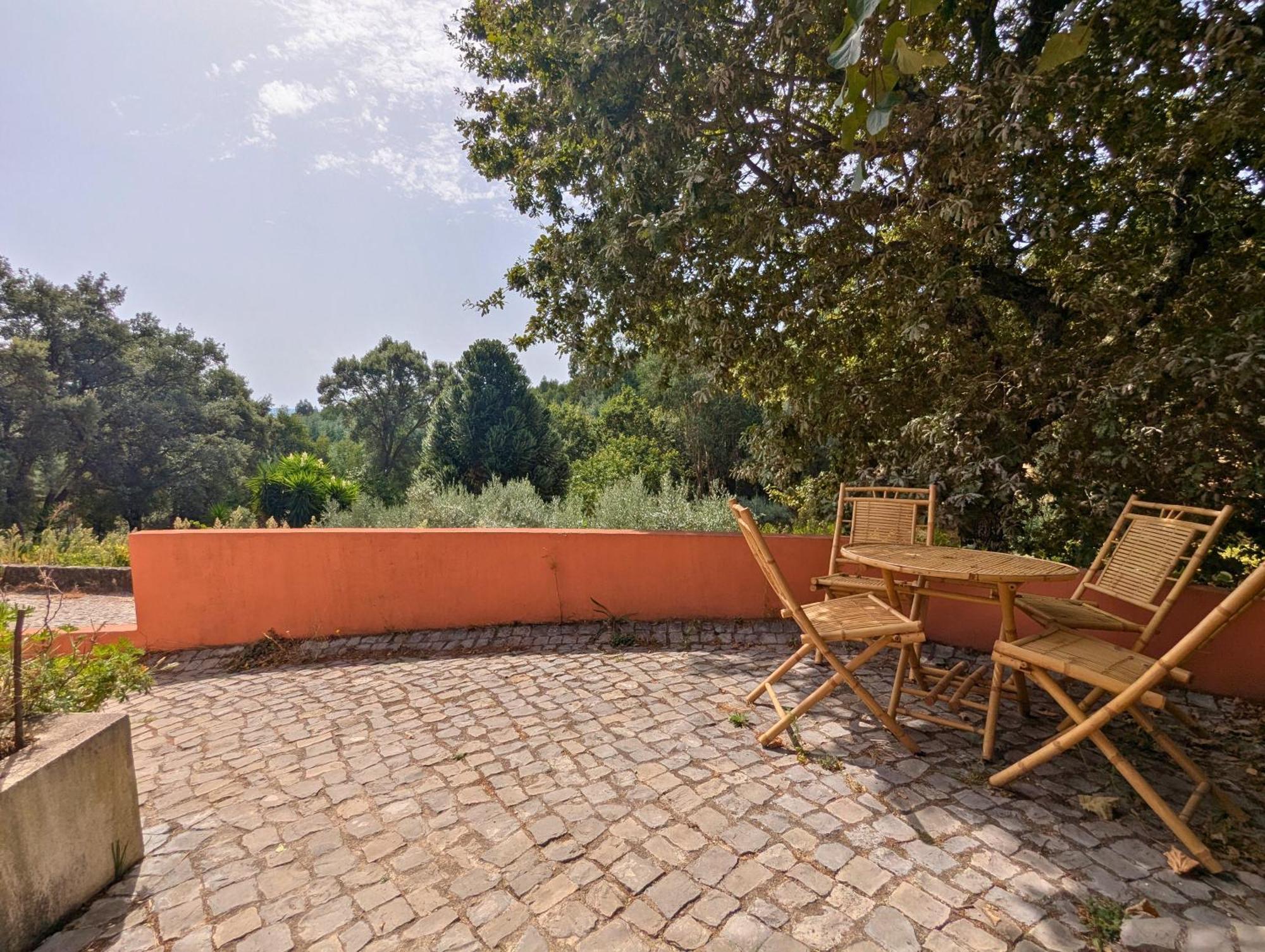 Apartment Terrace