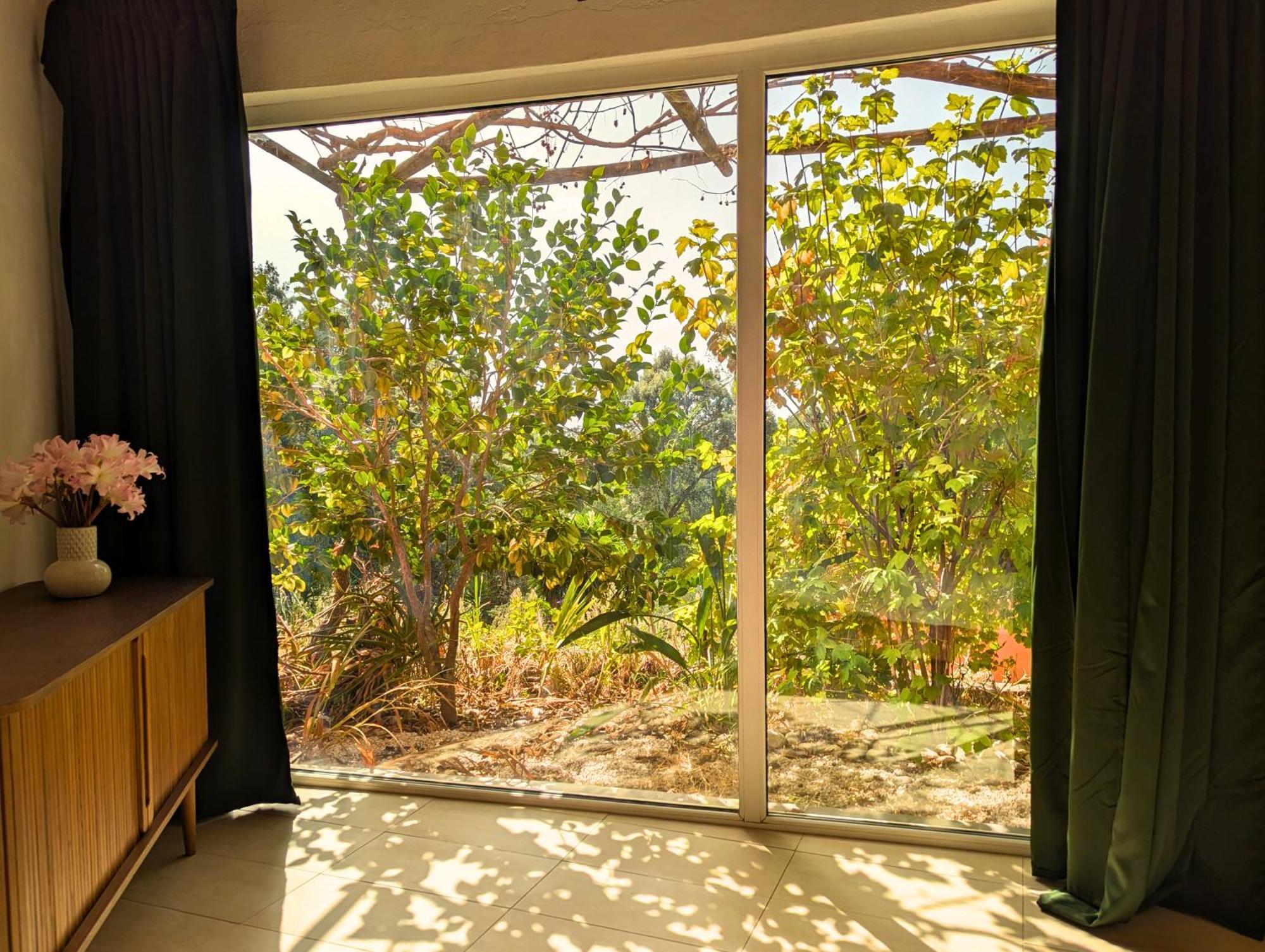 Apartment Terrace