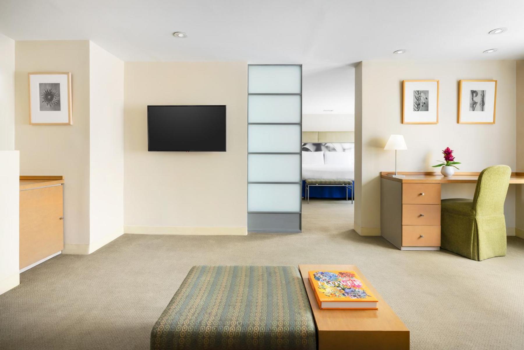 One-Bedroom Queen Suite