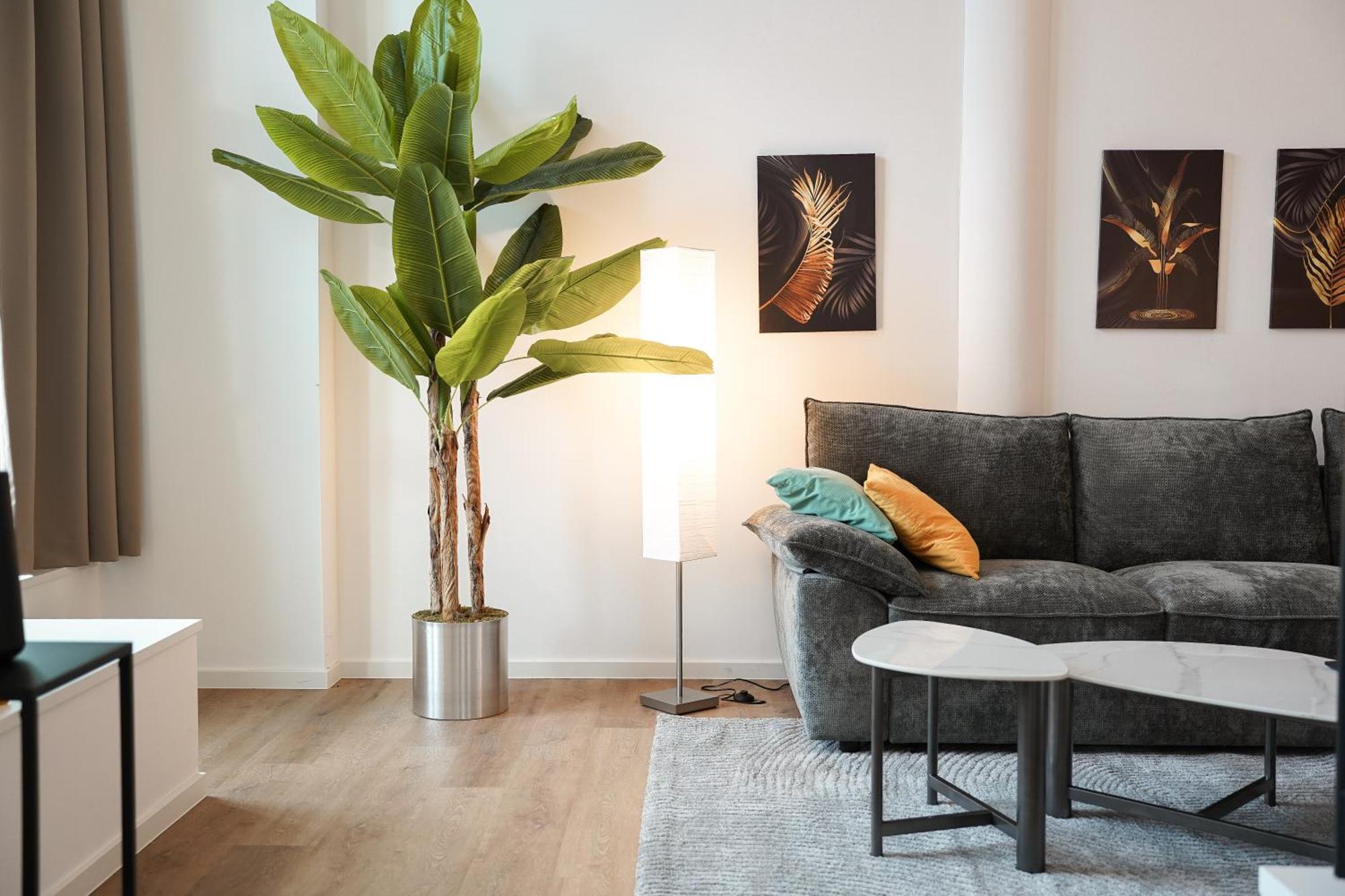 Deluxe Apartment