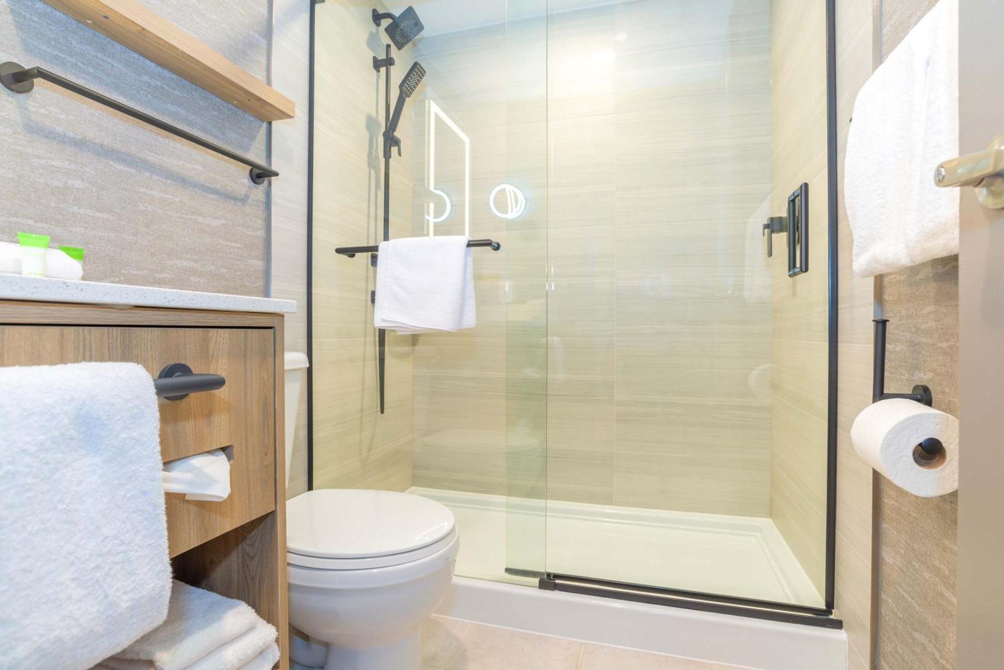 Standard Suite, 1 King Bed, Sofa Bed, Kitchen