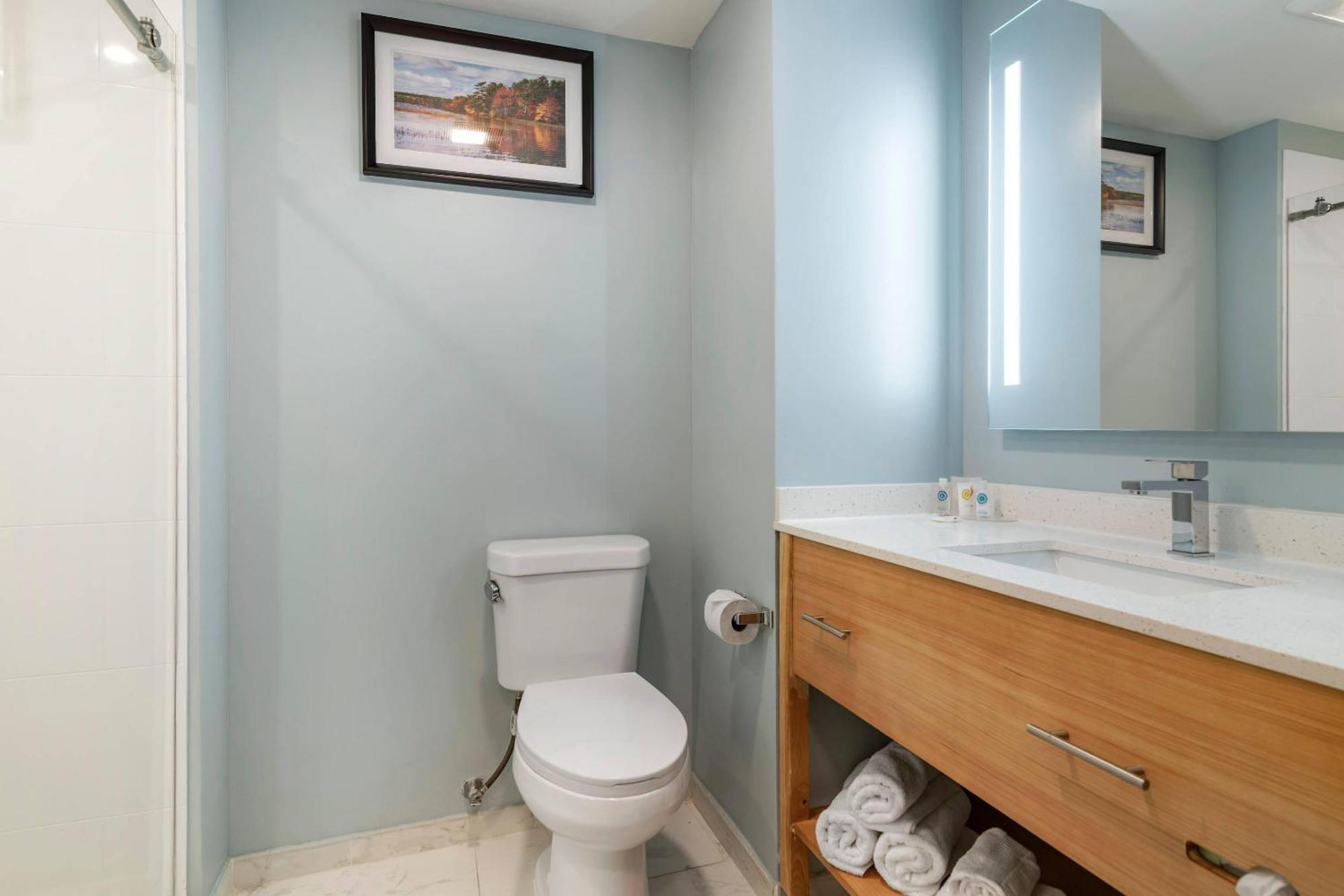 King Room Roll Shower Disability Access or Non Smoking