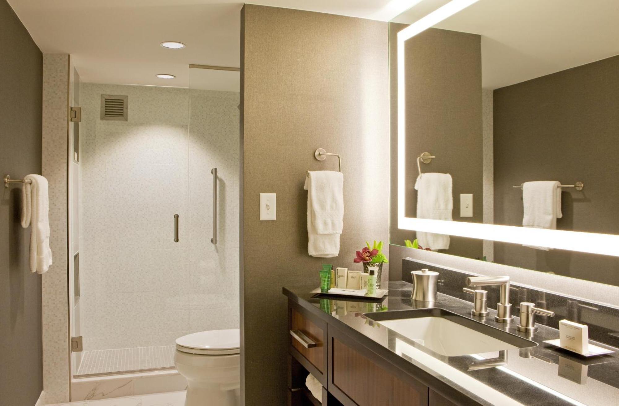 One-Bedroom King Suite