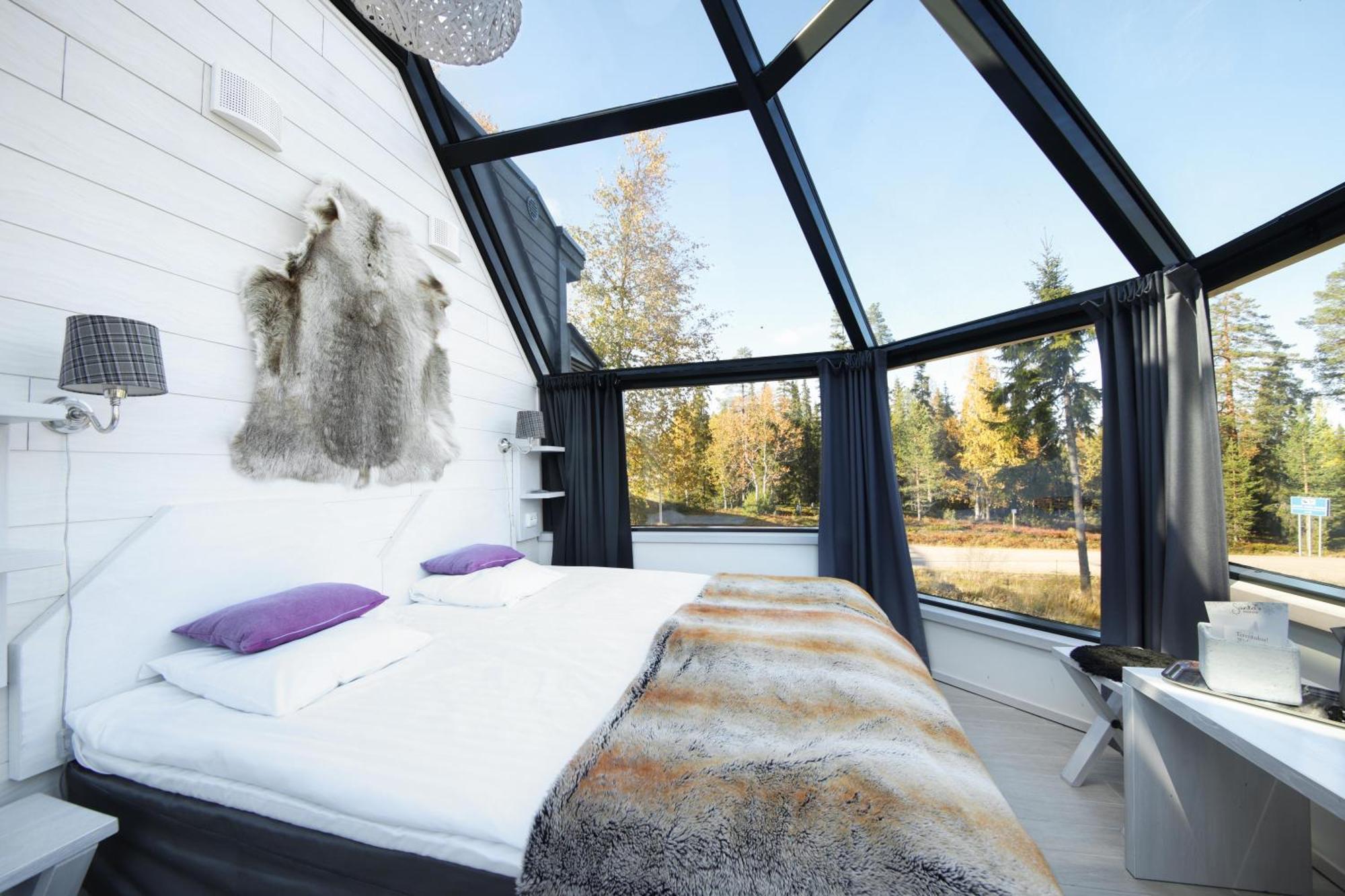 Premium Igloo