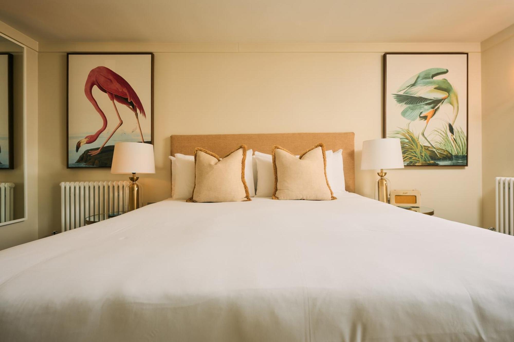 Signature View Family (Pet-Free)