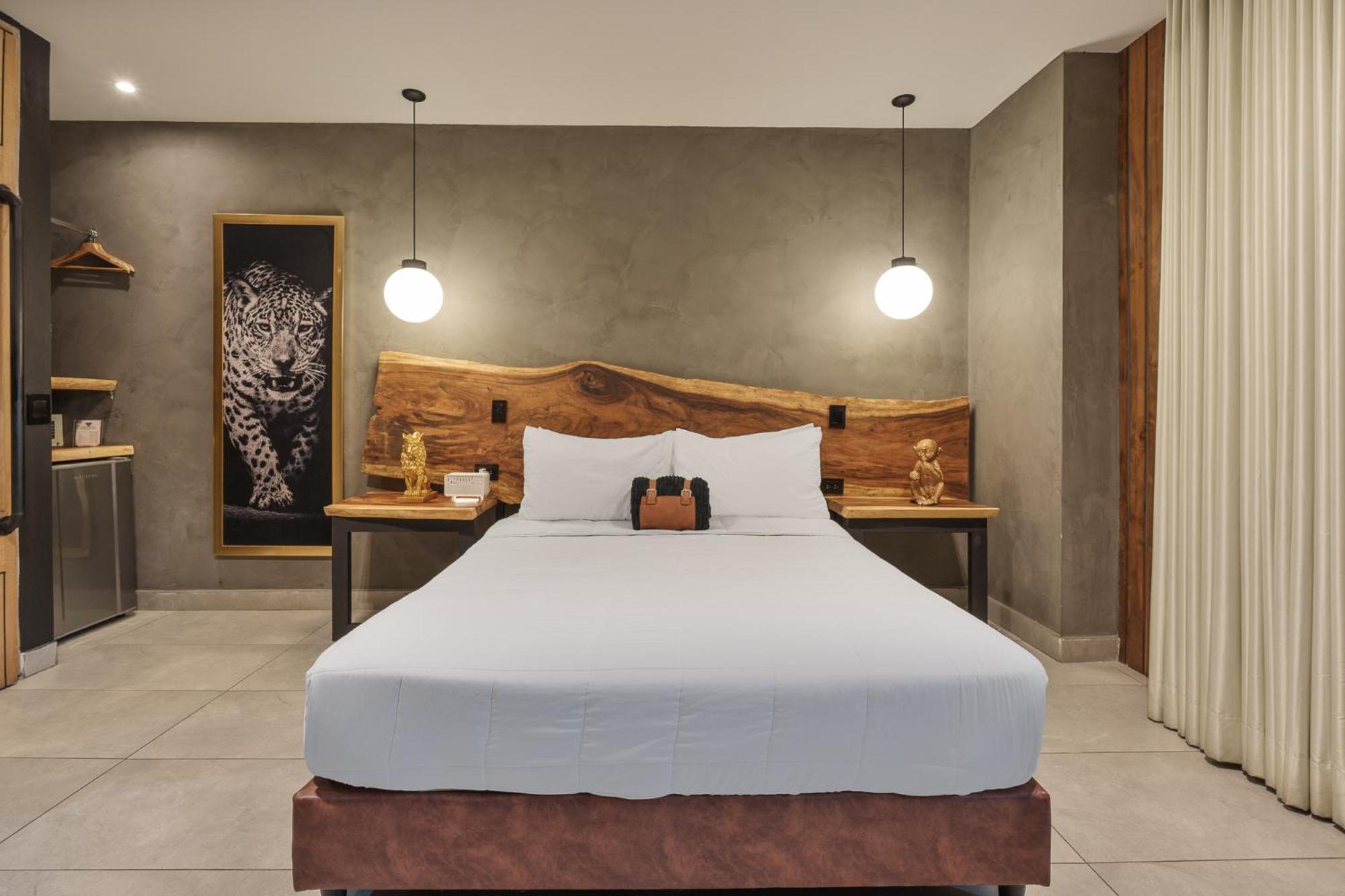 Habitación Doble Estándar