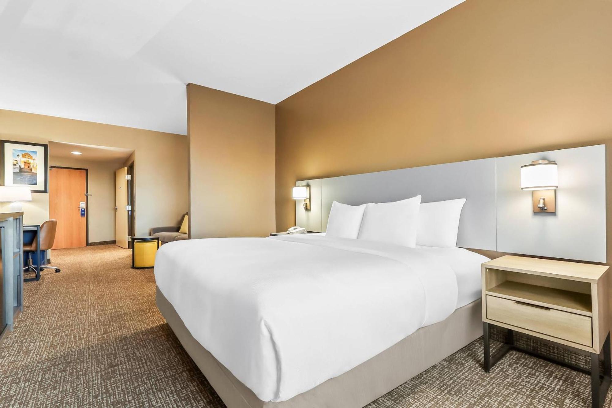 Suite Estándar con cama extragrande