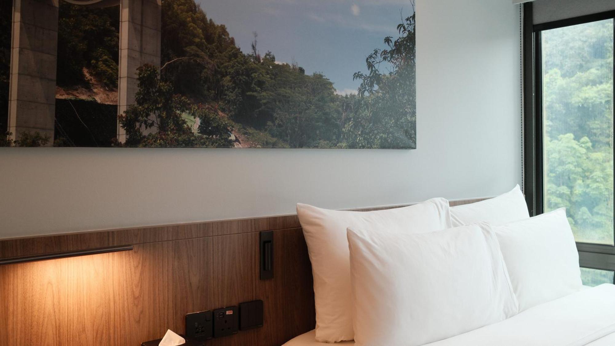 Standard Queen Room