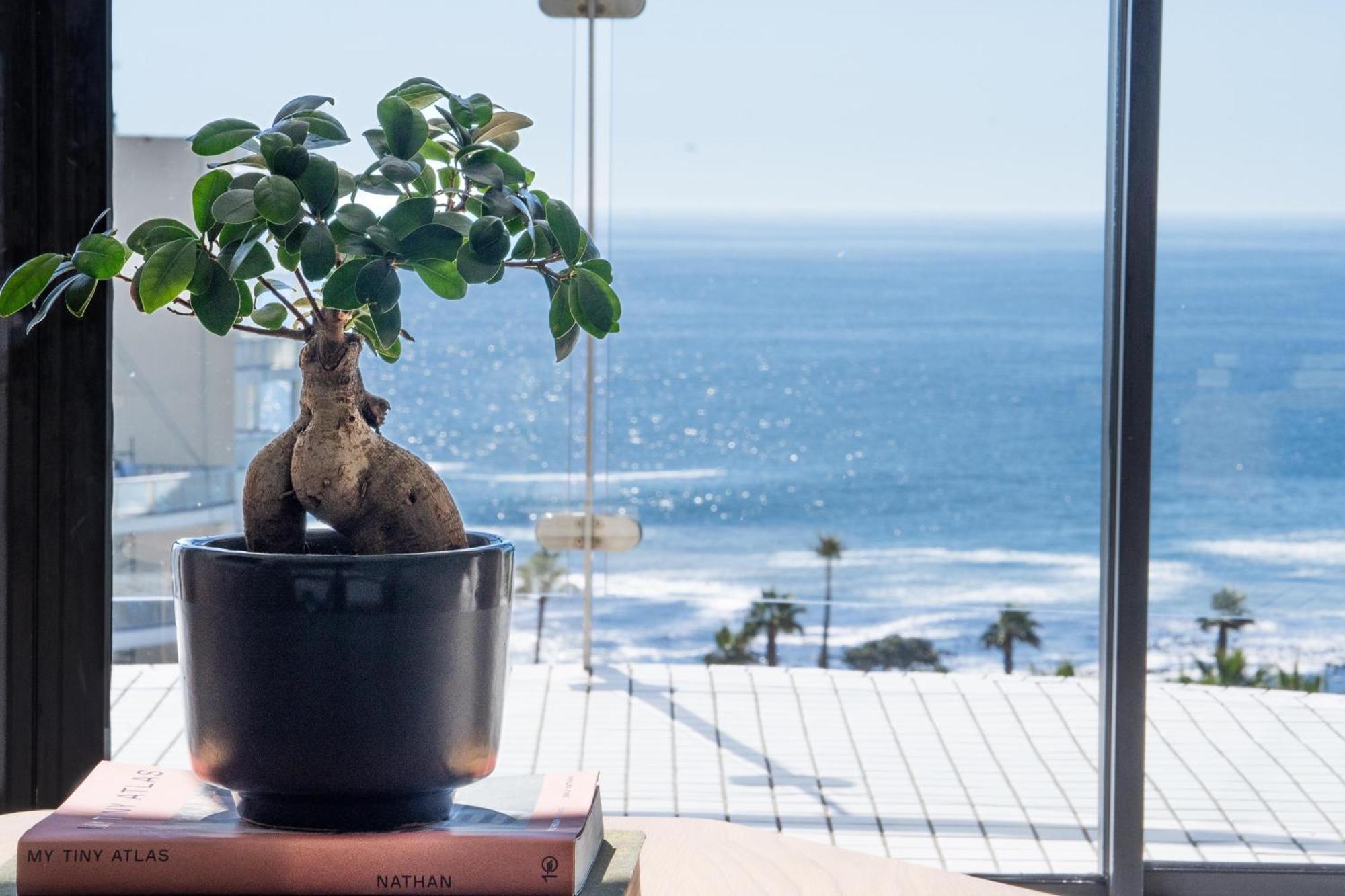 Two Bedroom Two Bathroom Apartment Sea Facing,1772060960:JPEG