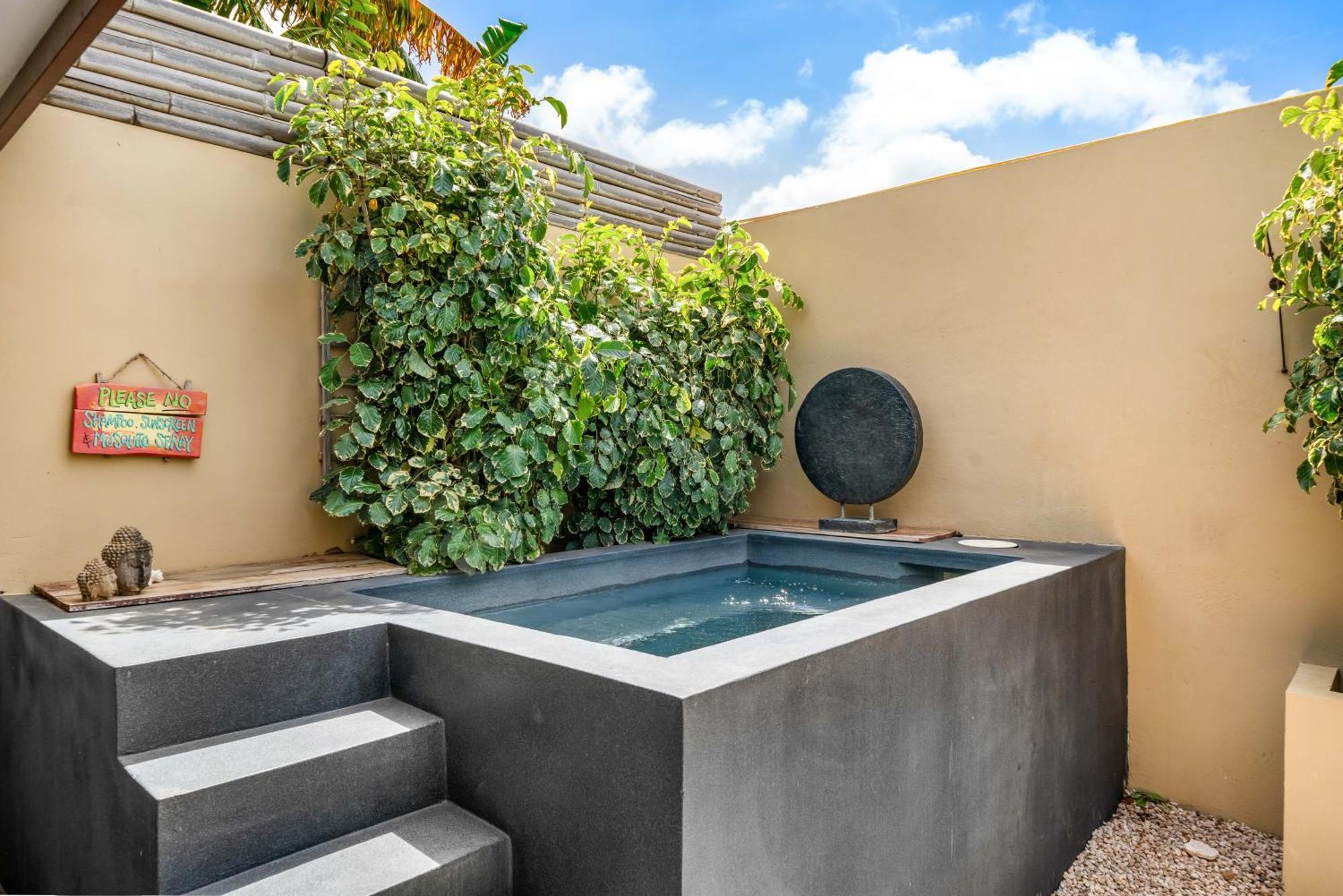 Superior Plunge Pool