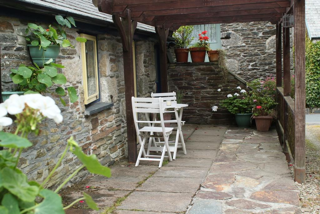 Studio with Garden View