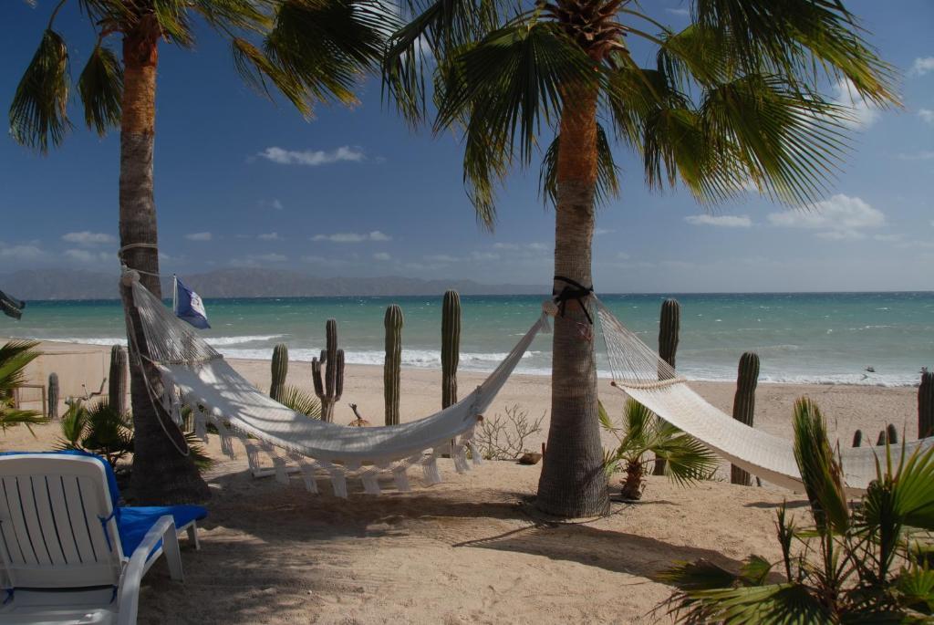 Suite frente a la playa