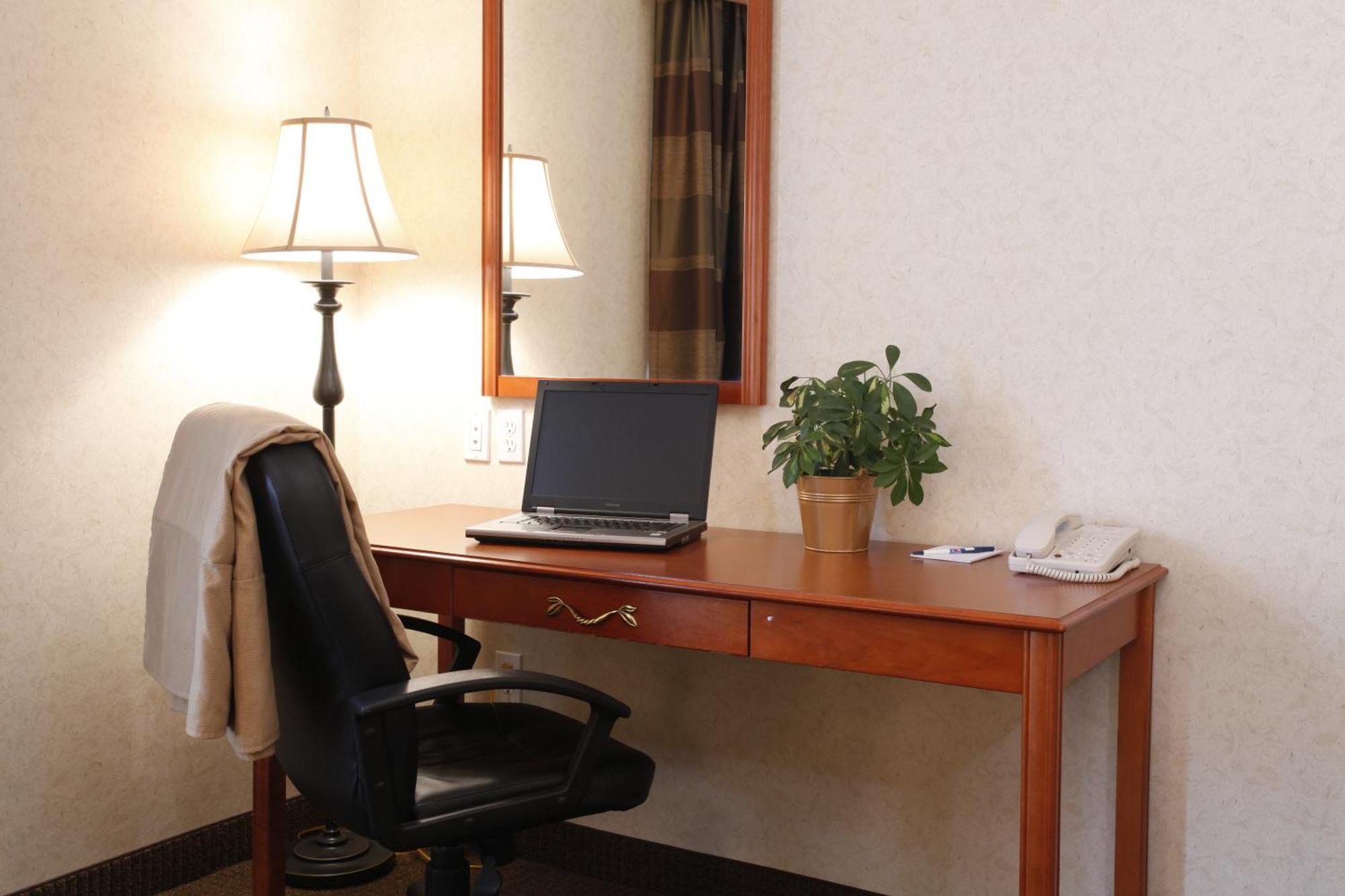 King Suite with Sofa Bed - Non-Smoking