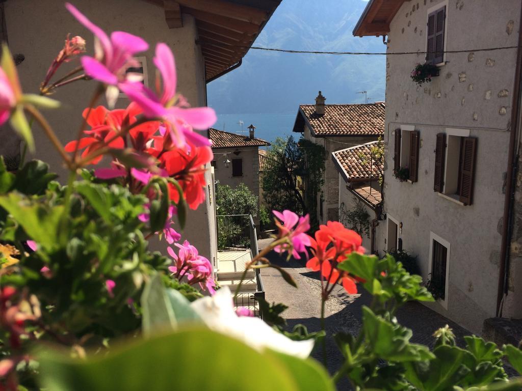 Double Room Patio,1114527558:JPEG