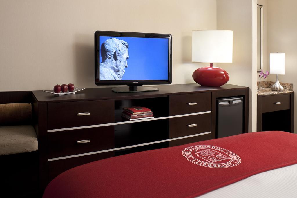 Urban con cama extragrande
