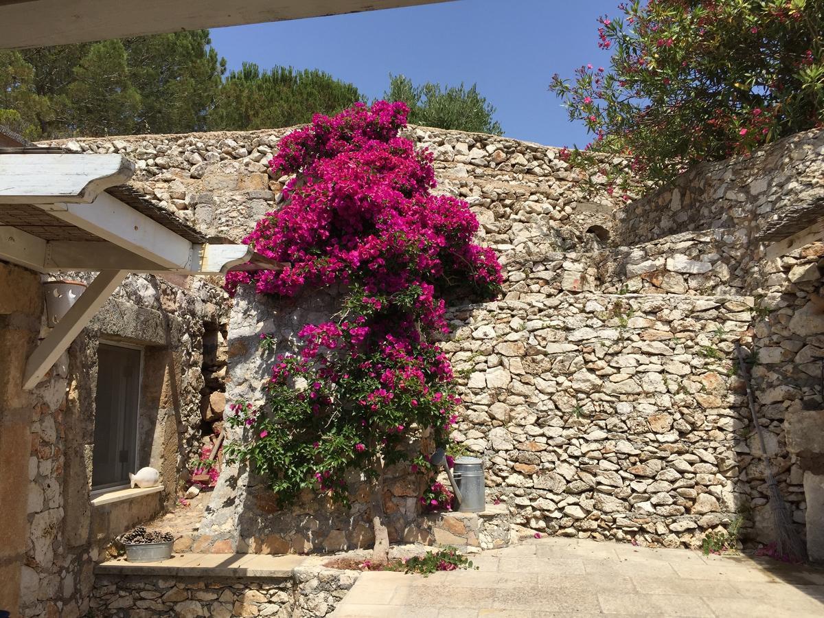 Suite Deluxe avec Jardin Privé - Vue sur Mer
