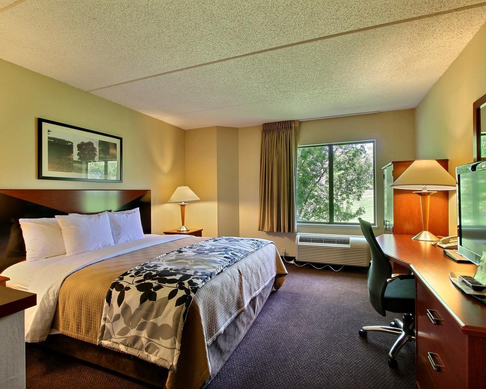 King Room - Non-Smoking
