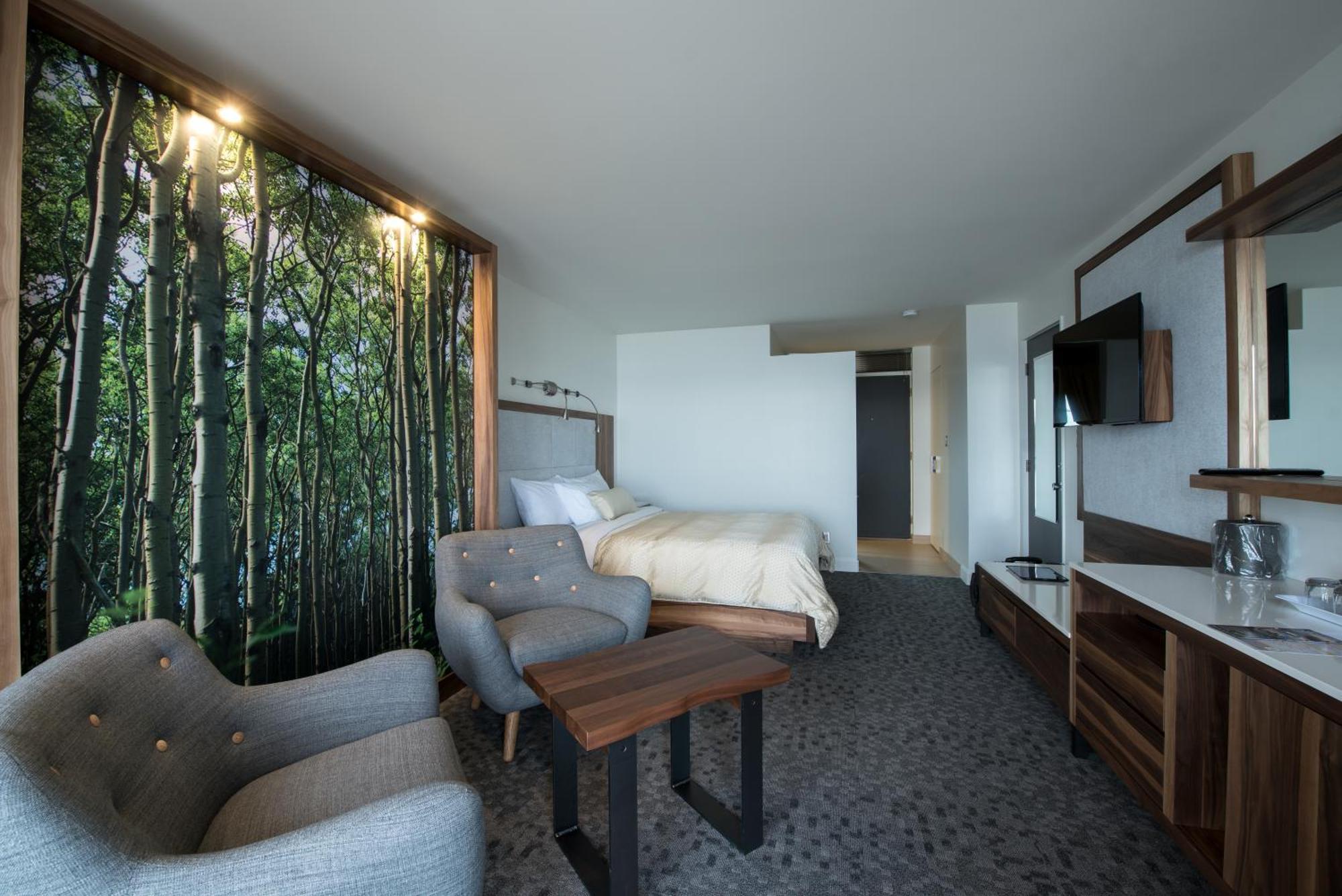 Superior Room 1 Queen bed and 1 Murphy bed Balcony and River View