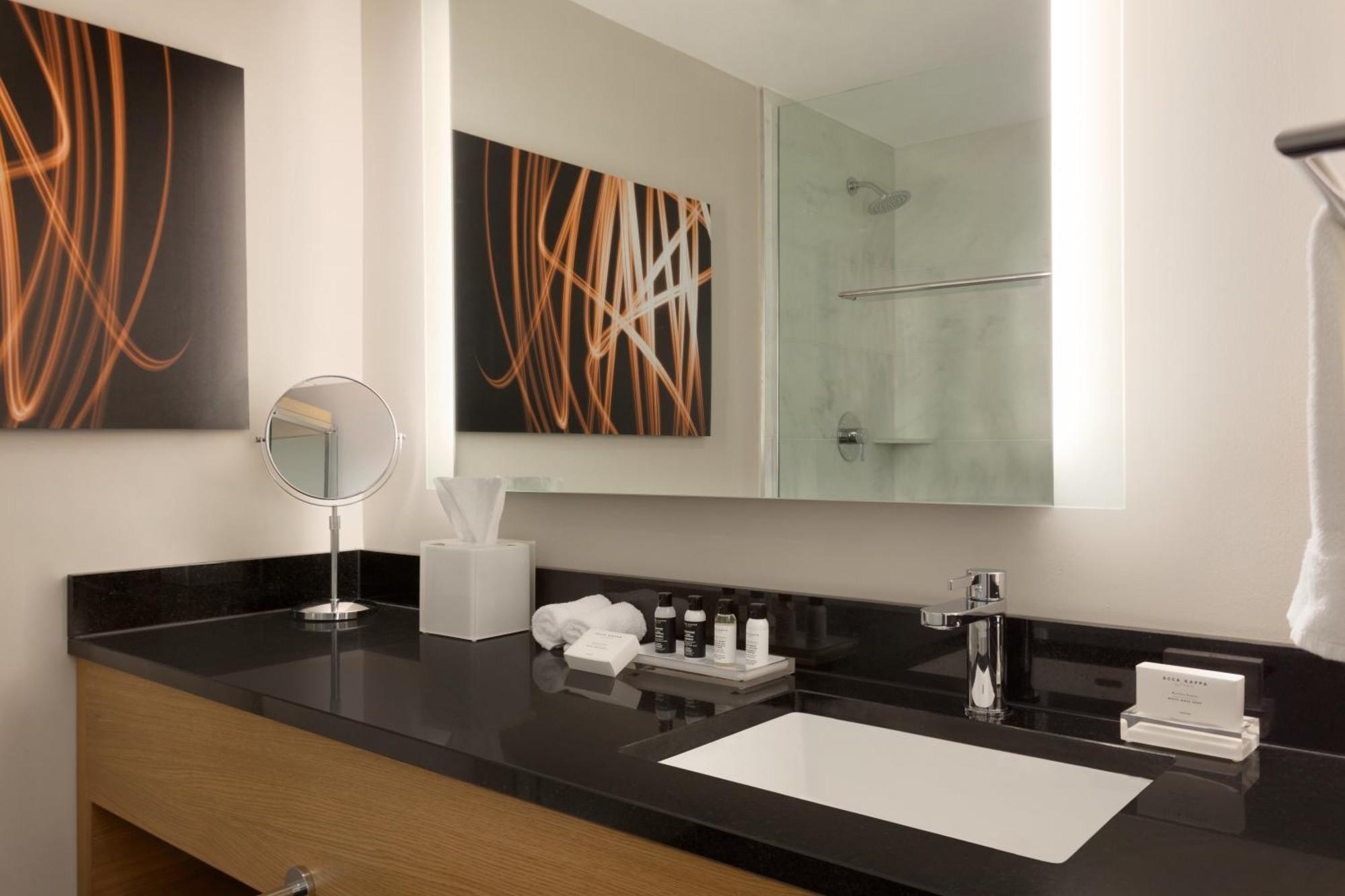 Executive Queen Suite with Sofa Bed
