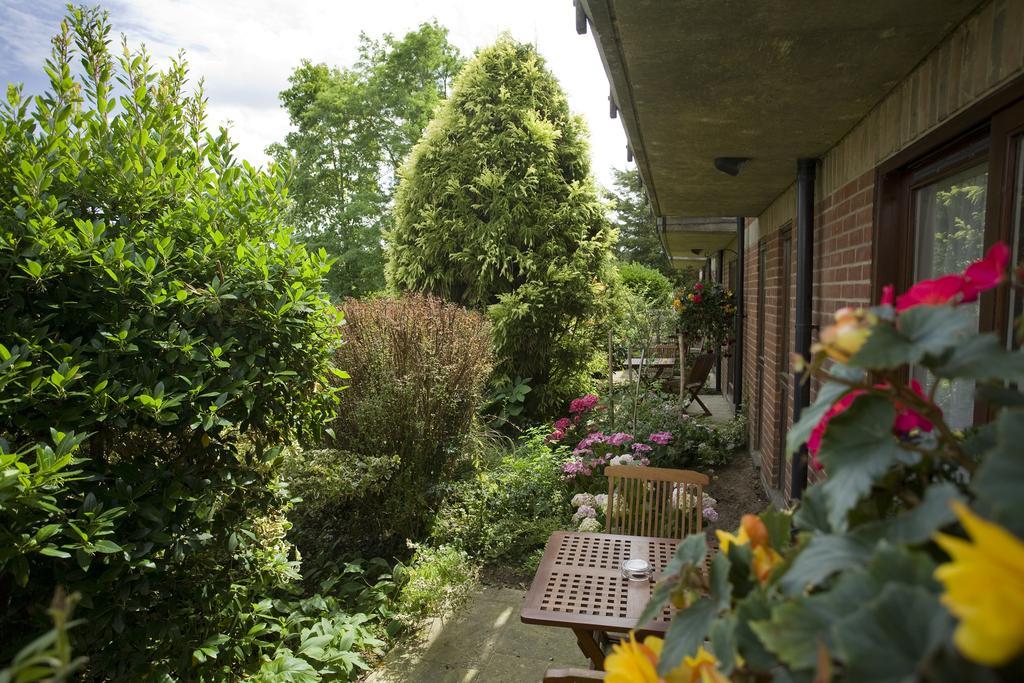 Garden View Patio Room