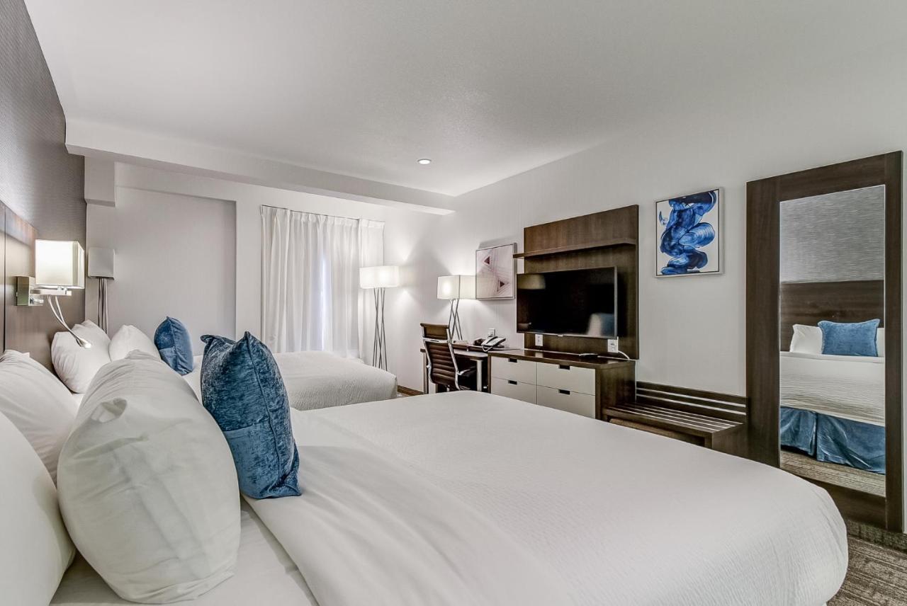 Studio 2 Queen Beds