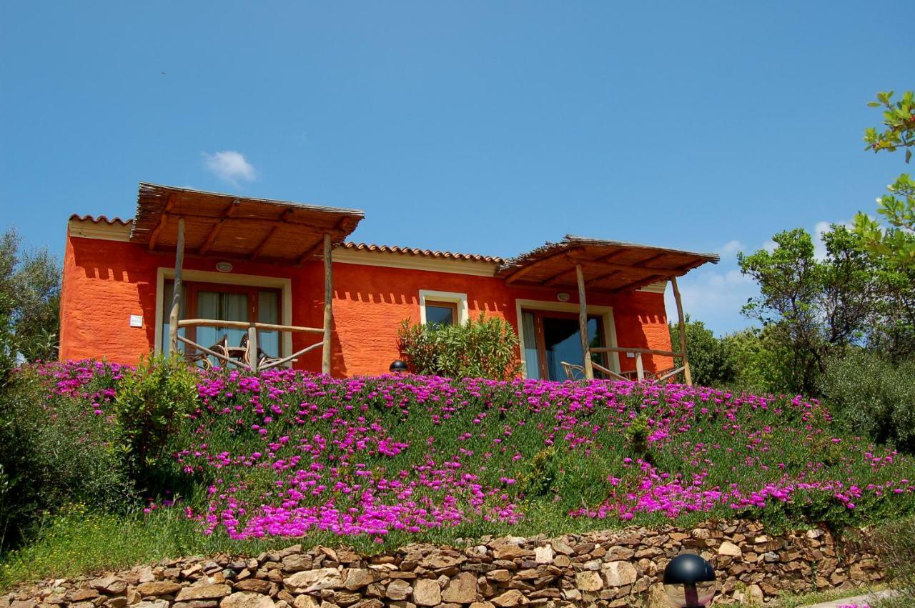 Double or Twin Room Garden View