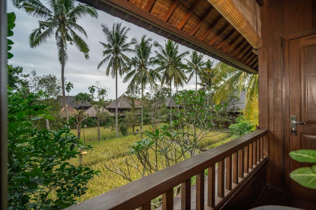 Deluxe Rice field View