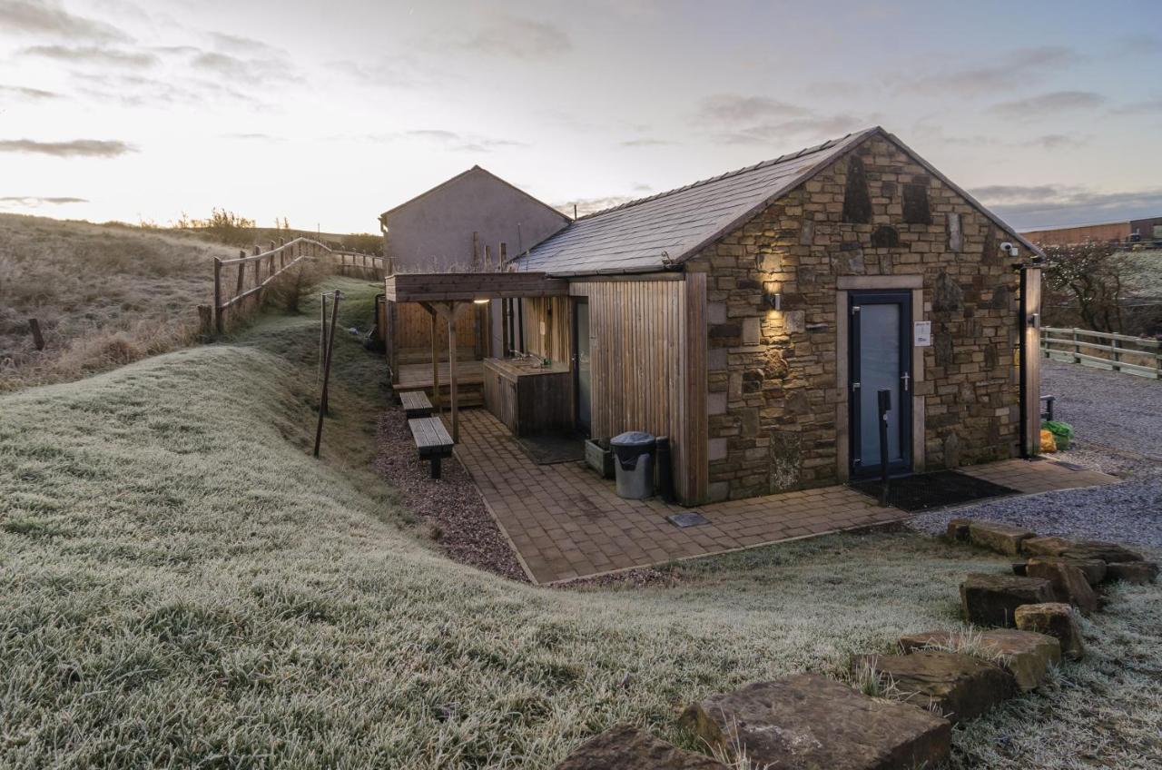 Double or Twin Glamping Pod with Shower Block (Pet friendly)