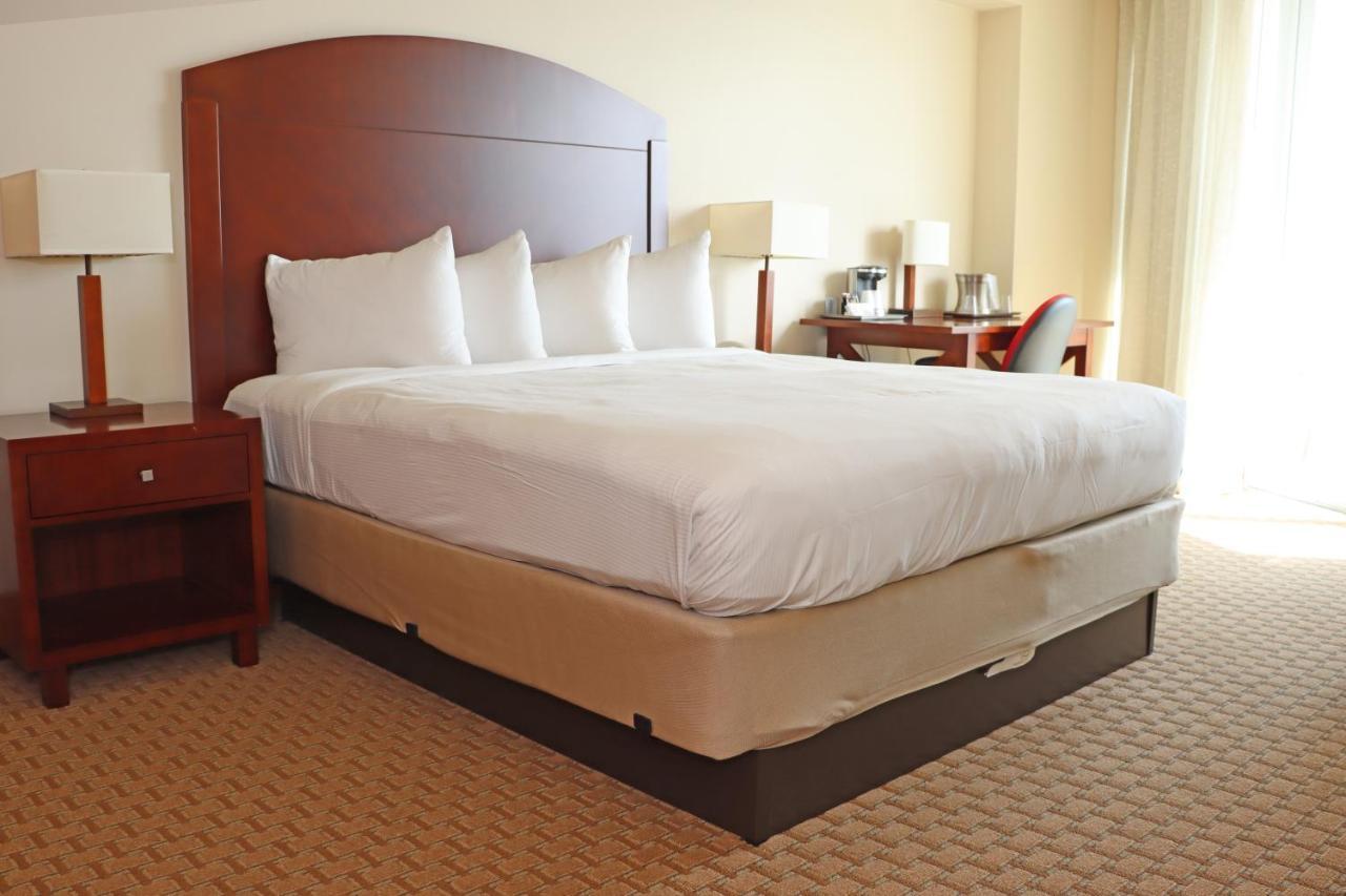Executive Studio Suite
