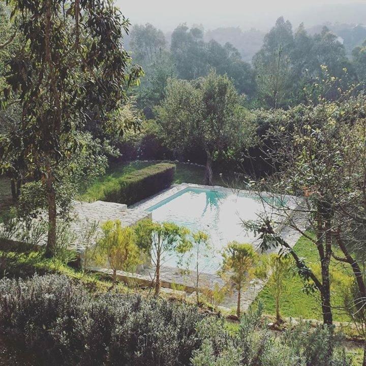 Suite com Vista da Piscina
