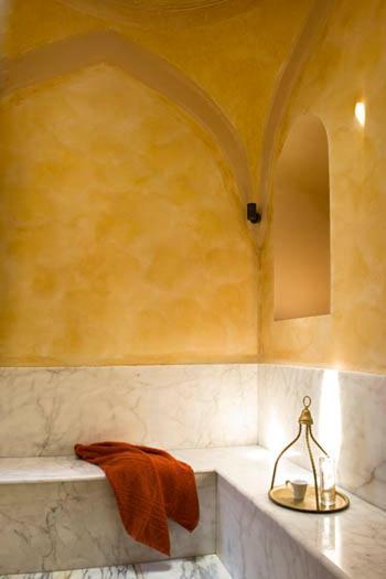 Pasha Suite