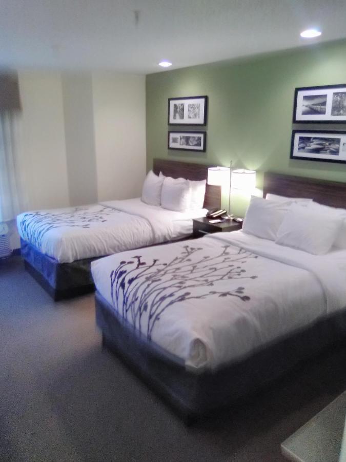 Double Room with Two Double Beds
