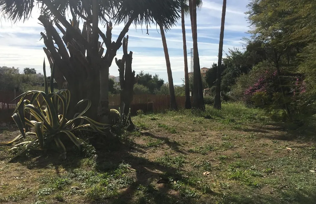 Casa Rural Paloma B&B-1