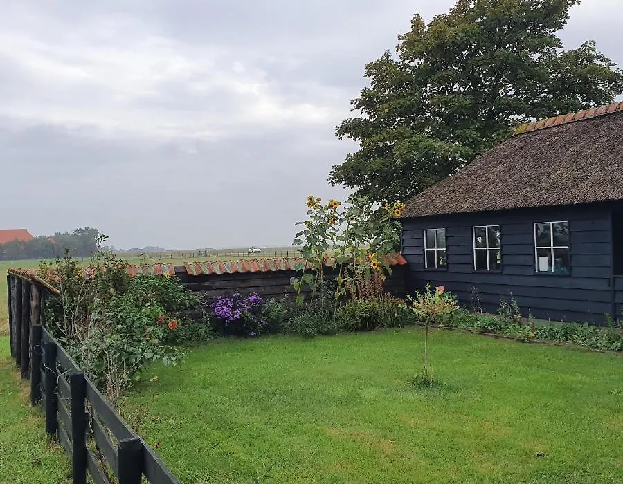 Hunsingo Texel-1