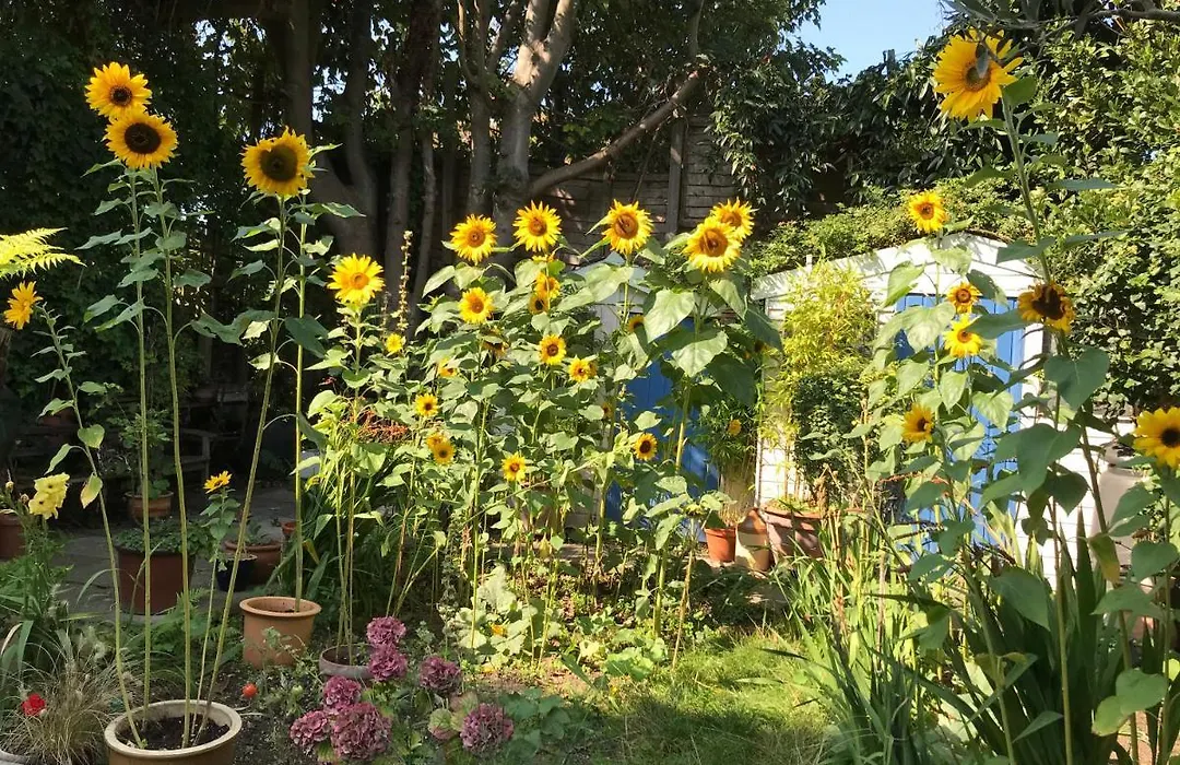Broadstairs House Boutique B&B By The Sea-1