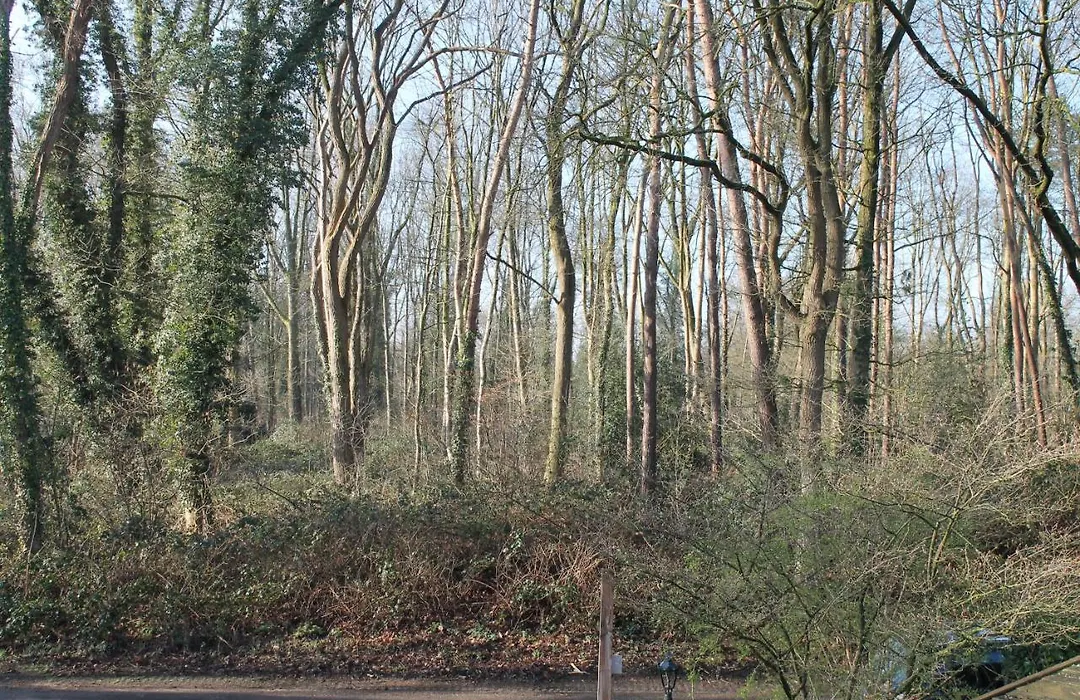 Gastenverblijf Peppelmate-1