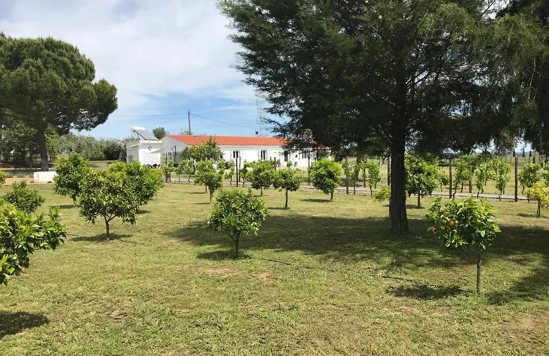 Horta Da Rosa - Adults Only-1