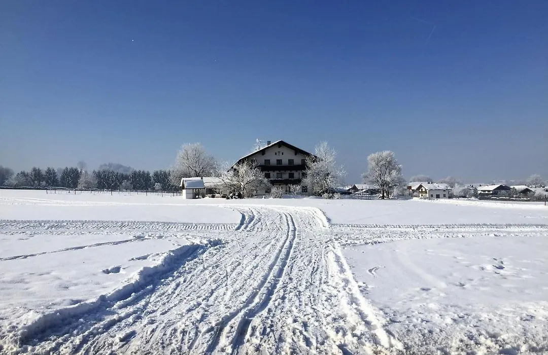 Chiemsee Chalet-1
