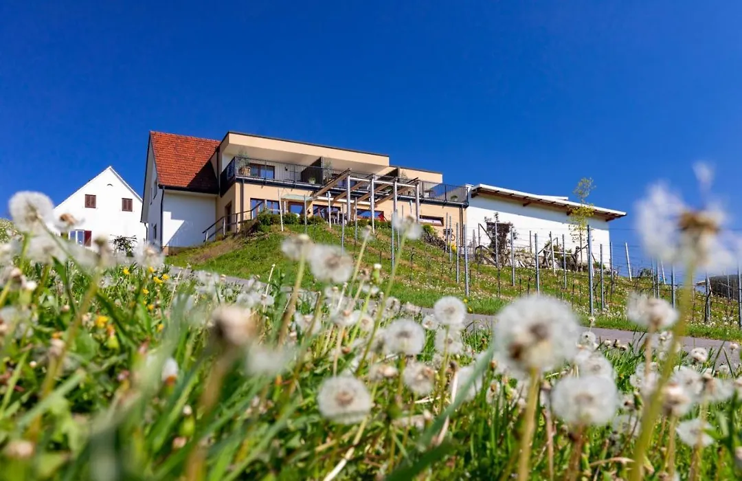 Weingut Perner-1