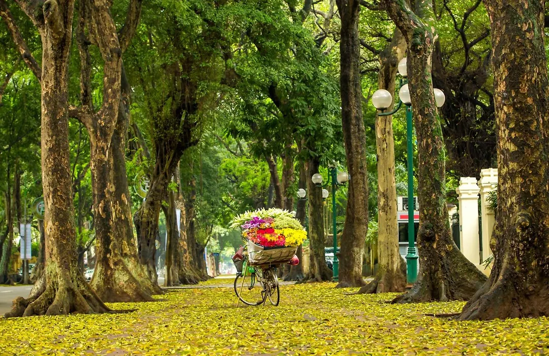 Hanoi Center Silk Hotel & Travel-1