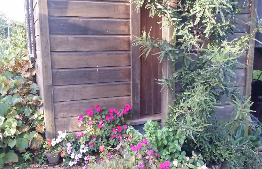 The Whare Rural Retreat-1