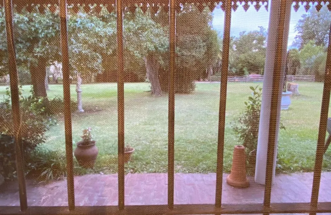 Don Aniceto - Suites de Campo-1