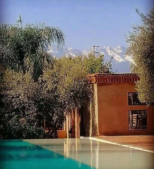 Manzil La Tortue-1