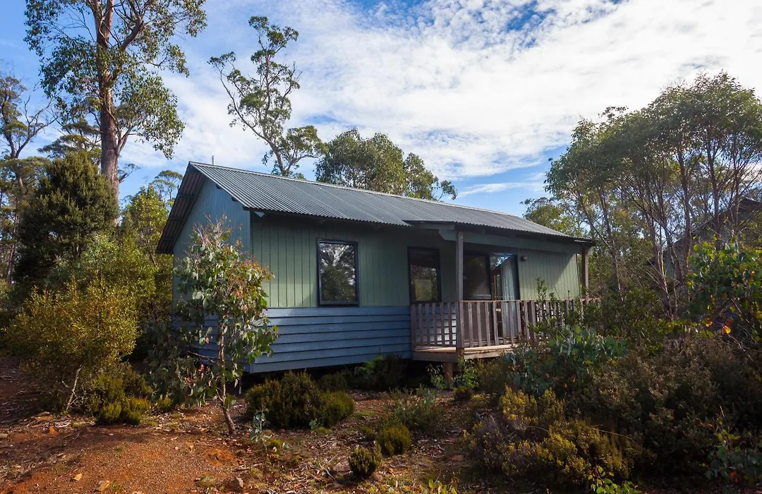 Discovery Resorts - Cradle Mountain-1